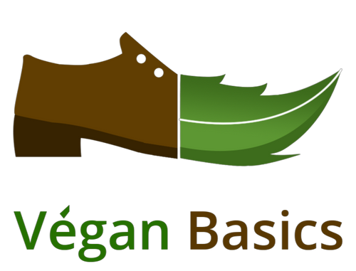 Vegan deals basics shoes